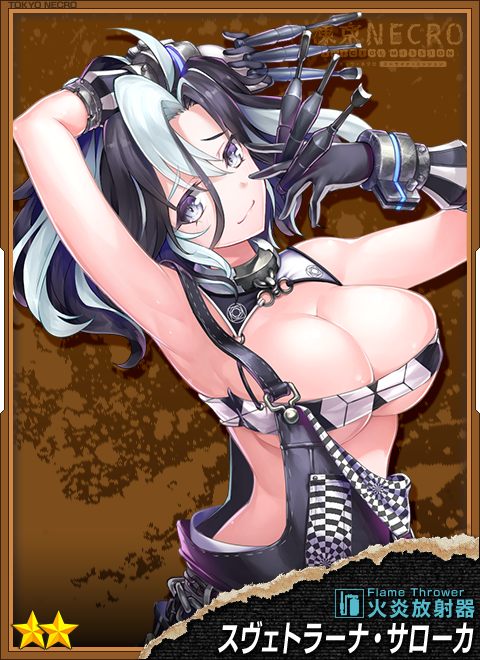 スヴェトラーナ サローカ.png